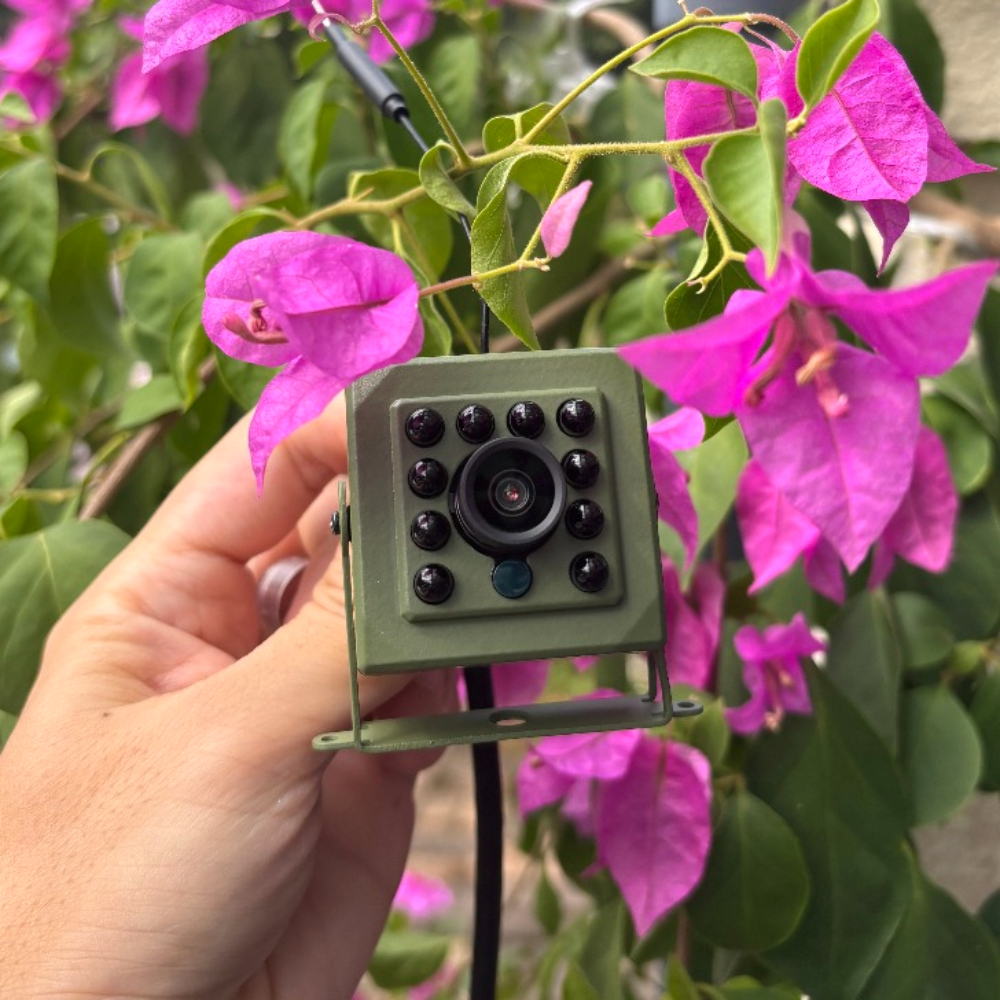Greenhouse Mini Indoor - Icsee Imx415 4K 8MP CCTV Green