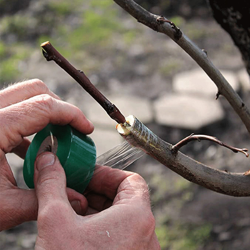 Garden Self-Adhesive Film Tape - Grafting Tape 리뷰 및 가격