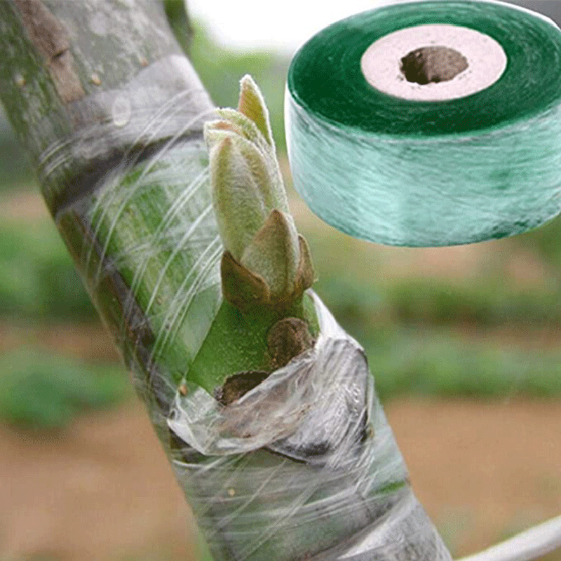 Garden Self-Adhesive Film Tape - Grafting Tape 리뷰 및 가격