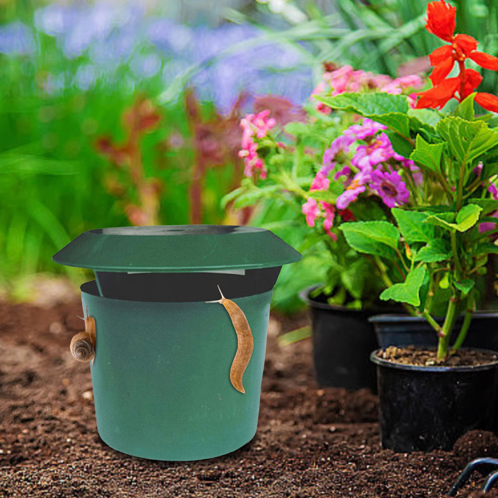 2-12pcs Snail Trap Catcher Gar - Gardening Tools Toolstation 리뷰 및 가격