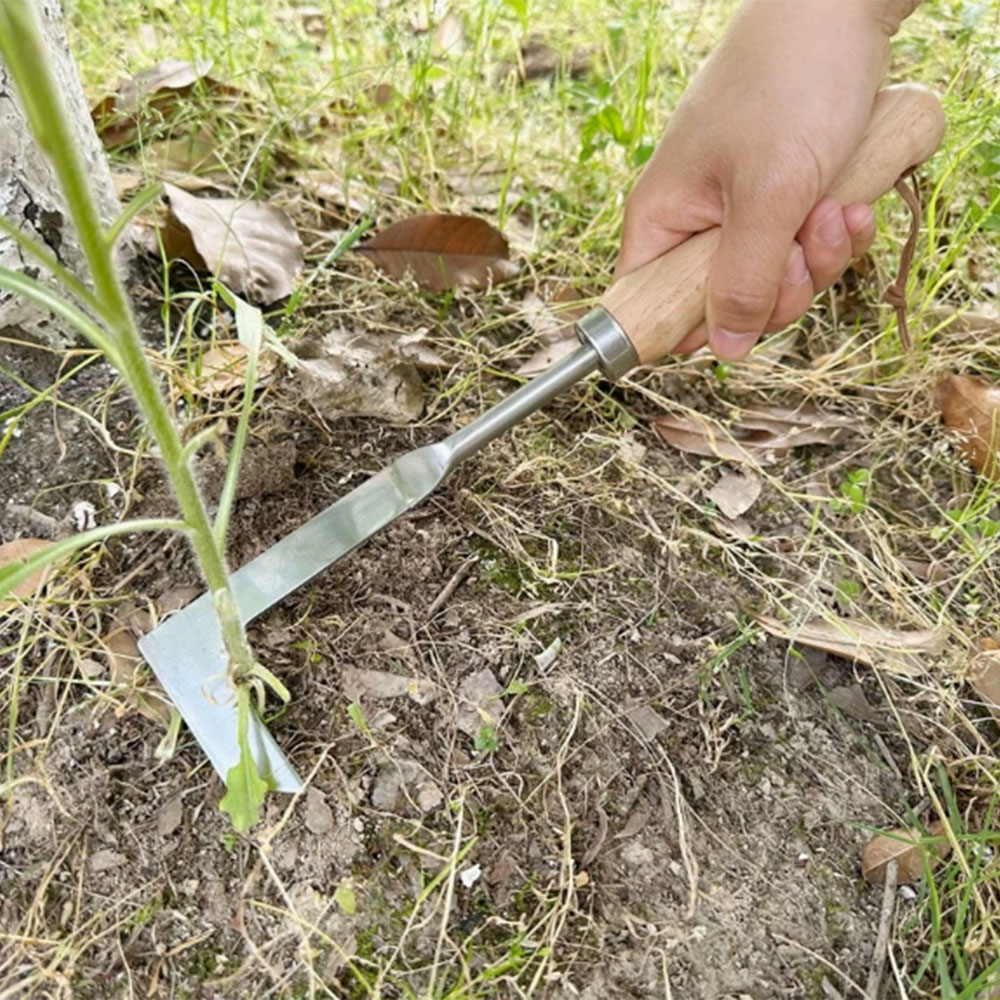 Stainless Steel Gap Weeding To - Gardening Tools Used For Weeding 리뷰 및 가격