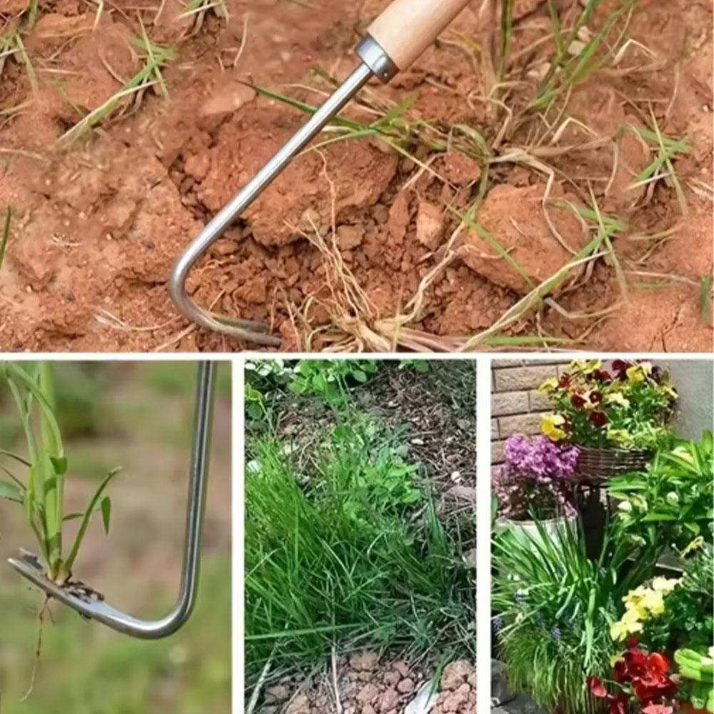 Stainless Steel Gap Weeding To - Gardening Tools Used For Weeding 리뷰 및 가격