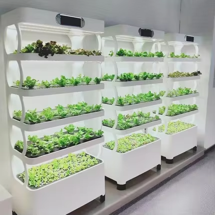 Mini Hydroponic Growing System - Greenhouse Mini Indoor 리뷰 및 가격