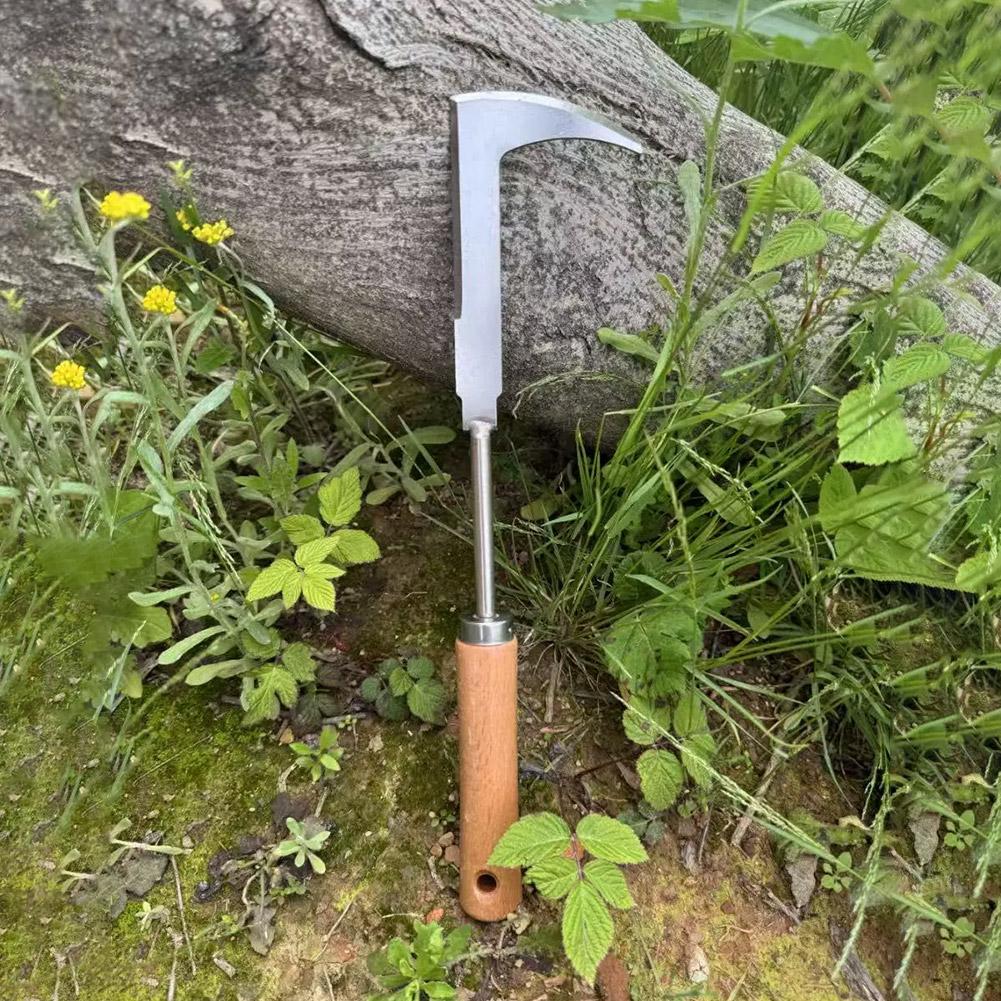 Stainless Steel Gap Weeding To - Gardening Tools Used For Weeding 리뷰 및 가격