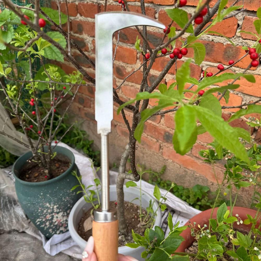 Stainless Steel Gap Weeding To - Gardening Tools Used For Weeding 리뷰 및 가격