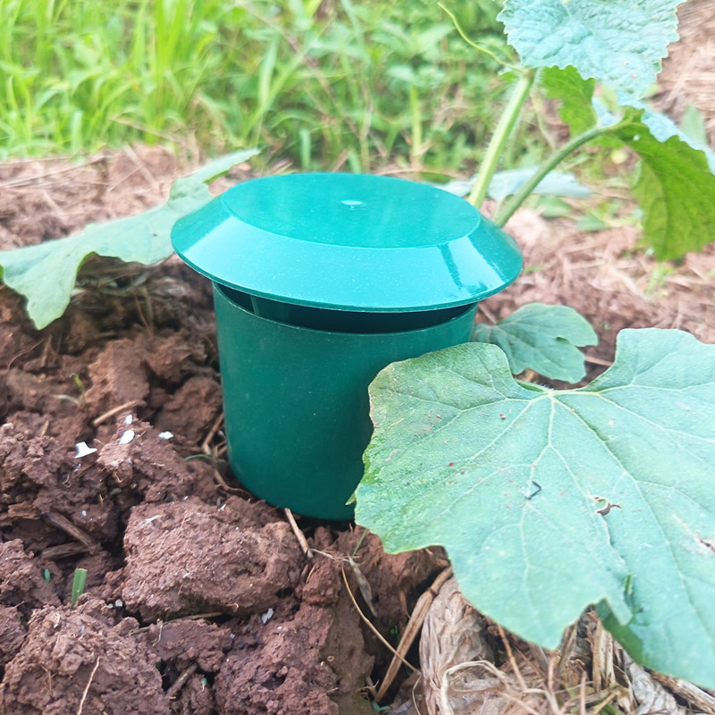 10/1PCS Snail Traps Catcher Ga - Gardening Tools Toolstation 리뷰 및 가격