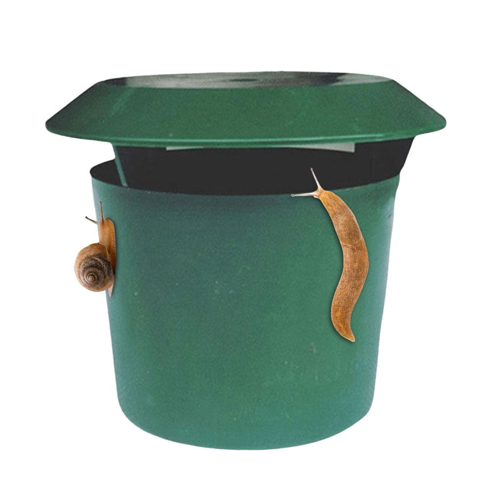 2/4/12pcs Slug House  Animal   - Gardening Tools Toolstation 리뷰 및 가격