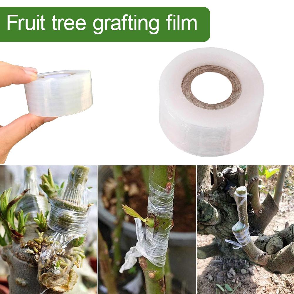 200M PE Grafting Tape Film Sel - Grafting Tape 리뷰 및 가격