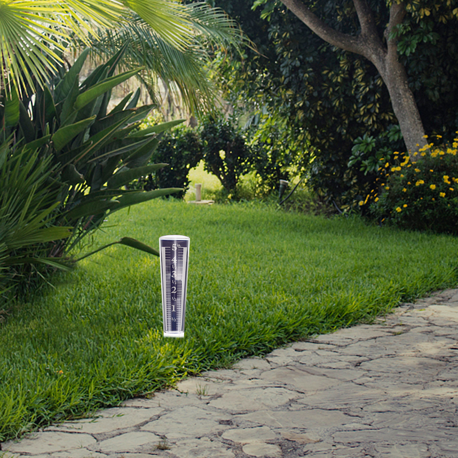 Transparent Rain Gauge for Out - Gardening Tools Toolstation 리뷰 및 가격