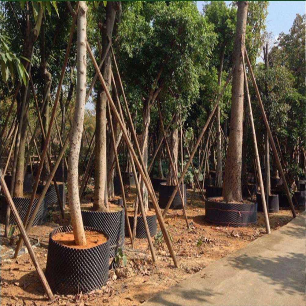 Grow Container Garden Tree Bon - Gardening Tools In 리뷰 및 가격