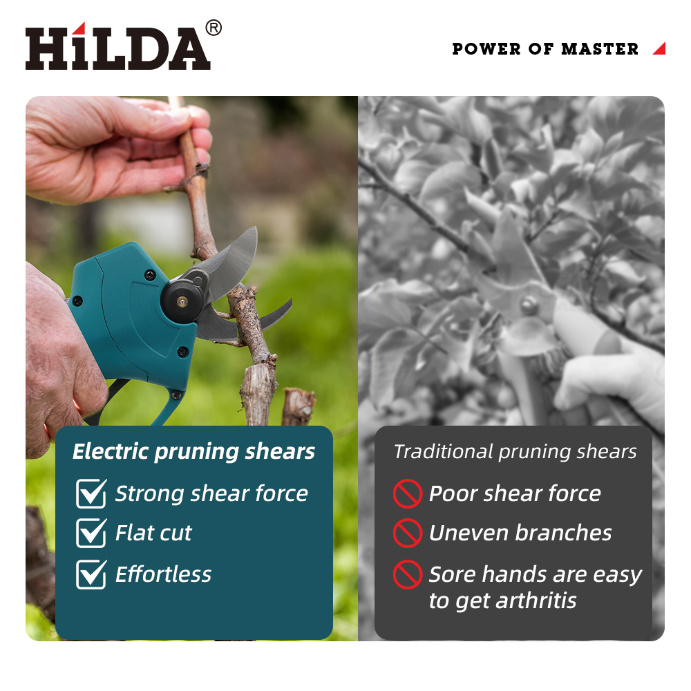 HILDA 18V Brushless Cordless E - Essential Gardening Tools 리뷰 및 가격