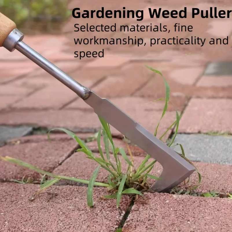 Stainless steel gap weeding to - Gardening Tools Used For Weeding 리뷰 및 가격