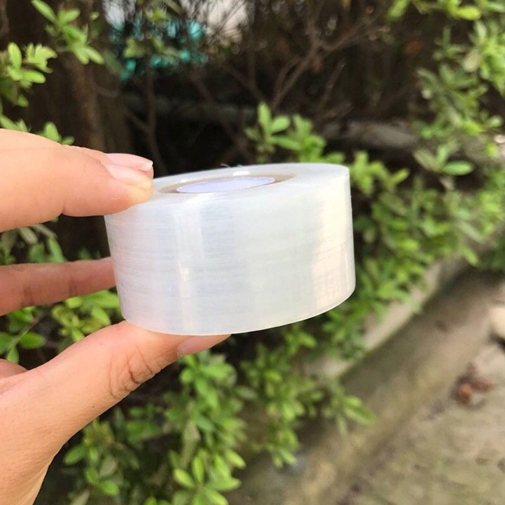 3/4/5cm*200m Nursery Grafting  - Grafting Tape 리뷰 및 가격