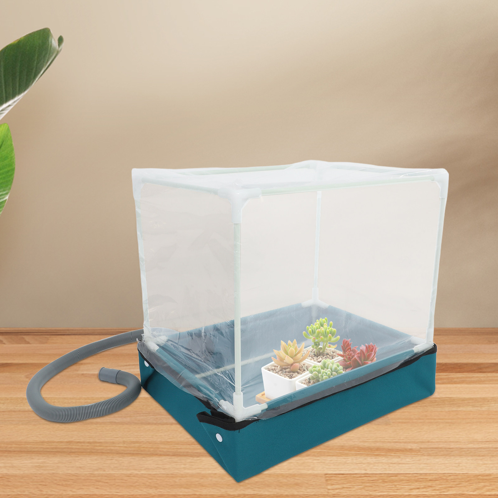 Mini Succulent Greenhouse Smal - Greenhouse Mini Indoor 리뷰 및 가격
