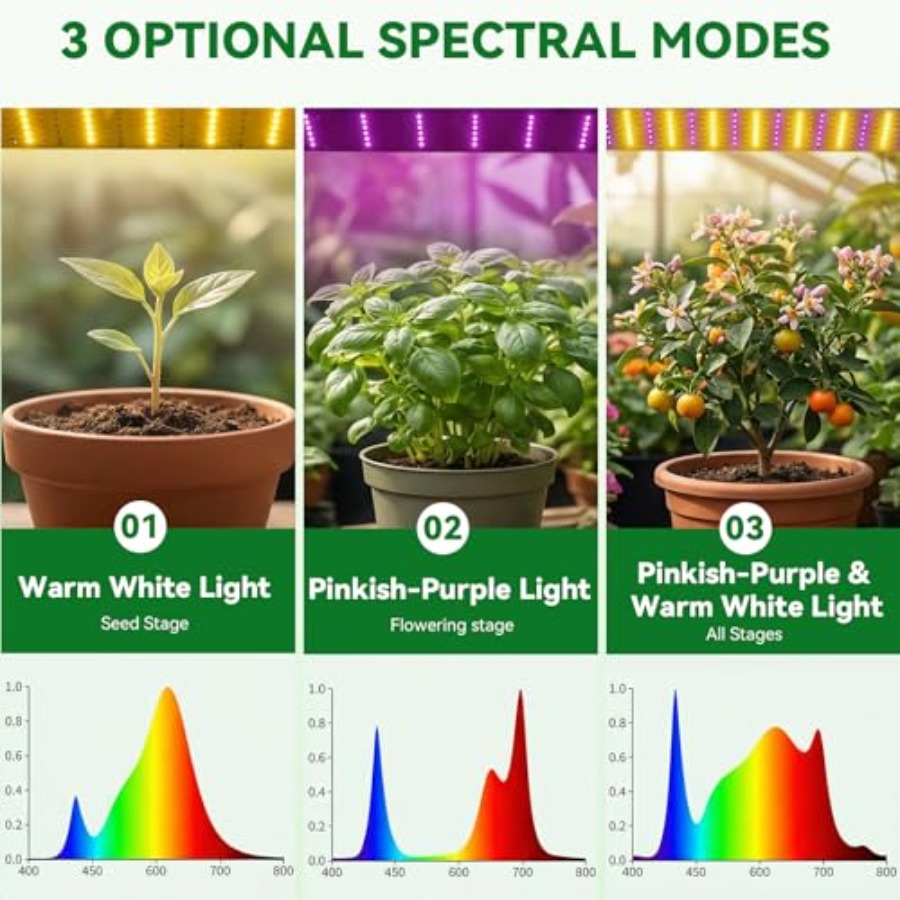Mini Indoor Greenhouse with Gr - Greenhouse Mini Indoor 리뷰 및 가격