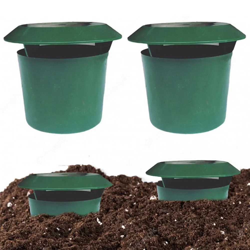 2/4/12 Reusable Pest Bait Stat - Gardening Tools Toolstation 리뷰 및 가격