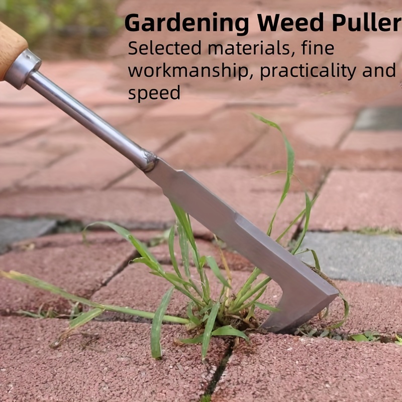 Stainless steel gap weeding to - Gardening Tools Used For Weeding 리뷰 및 가격