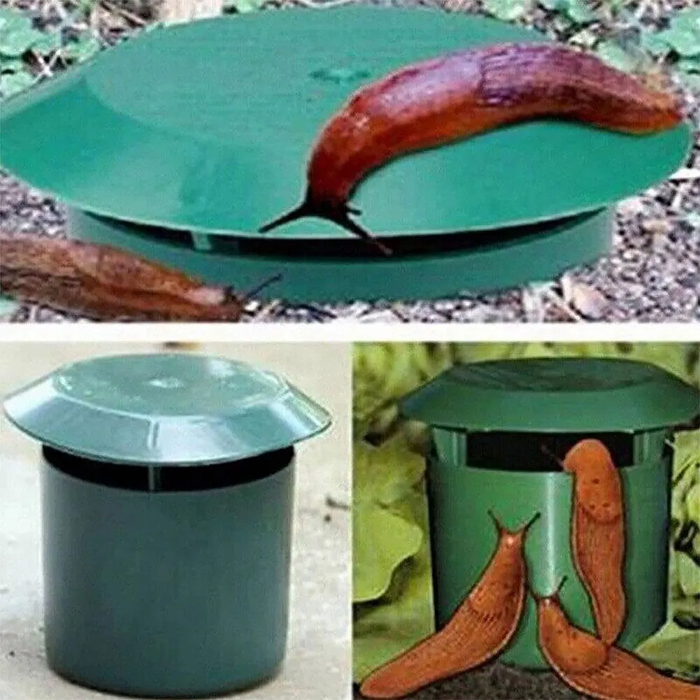2-12Pcs Snail Trap Catcher Eco - Gardening Tools Toolstation 리뷰 및 가격