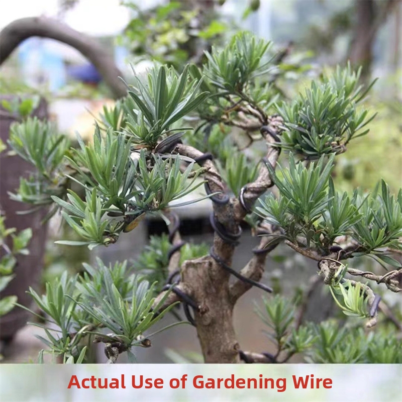 1.5MM Bonsai Wires Aluminum Bo - Gardening Tools And Accessories 리뷰 및 가격