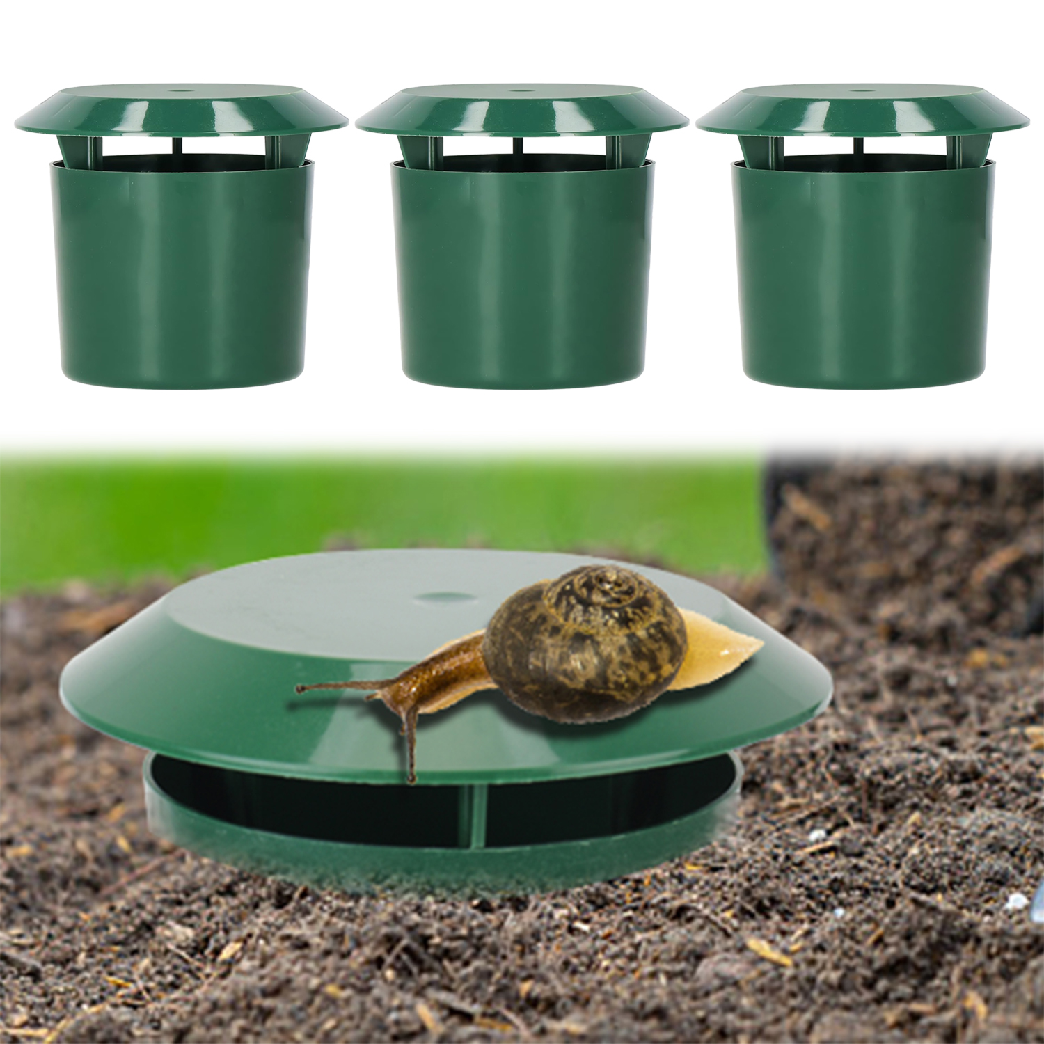 1-12pcs Eco-friendly Slug Hous - Gardening Tools Toolstation 리뷰 및 가격