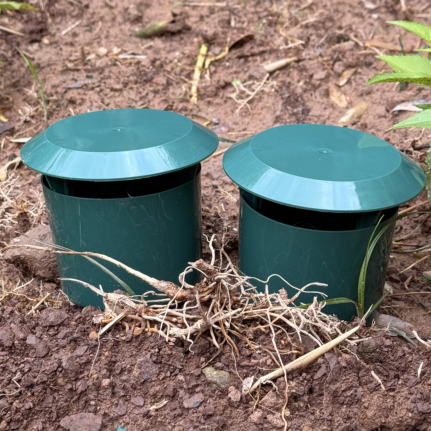 1-12pcs Eco-friendly Slug Hous - Gardening Tools Toolstation 리뷰 및 가격