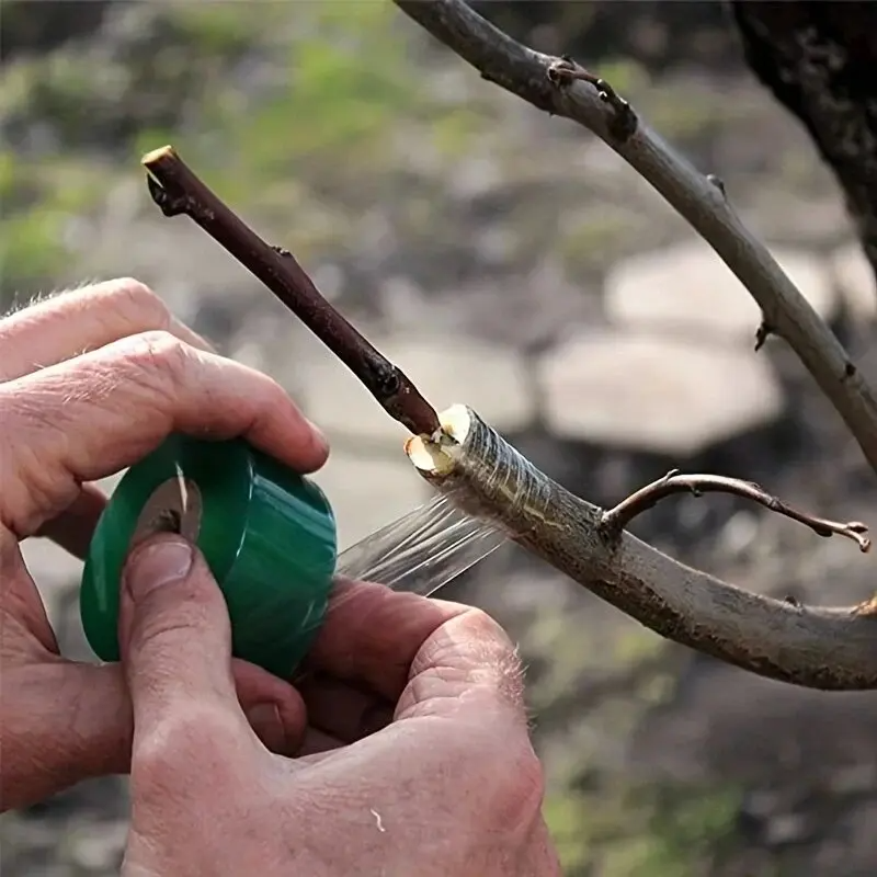 Self-adhesive PE Grafting Tape - Grafting Tape 리뷰 및 가격