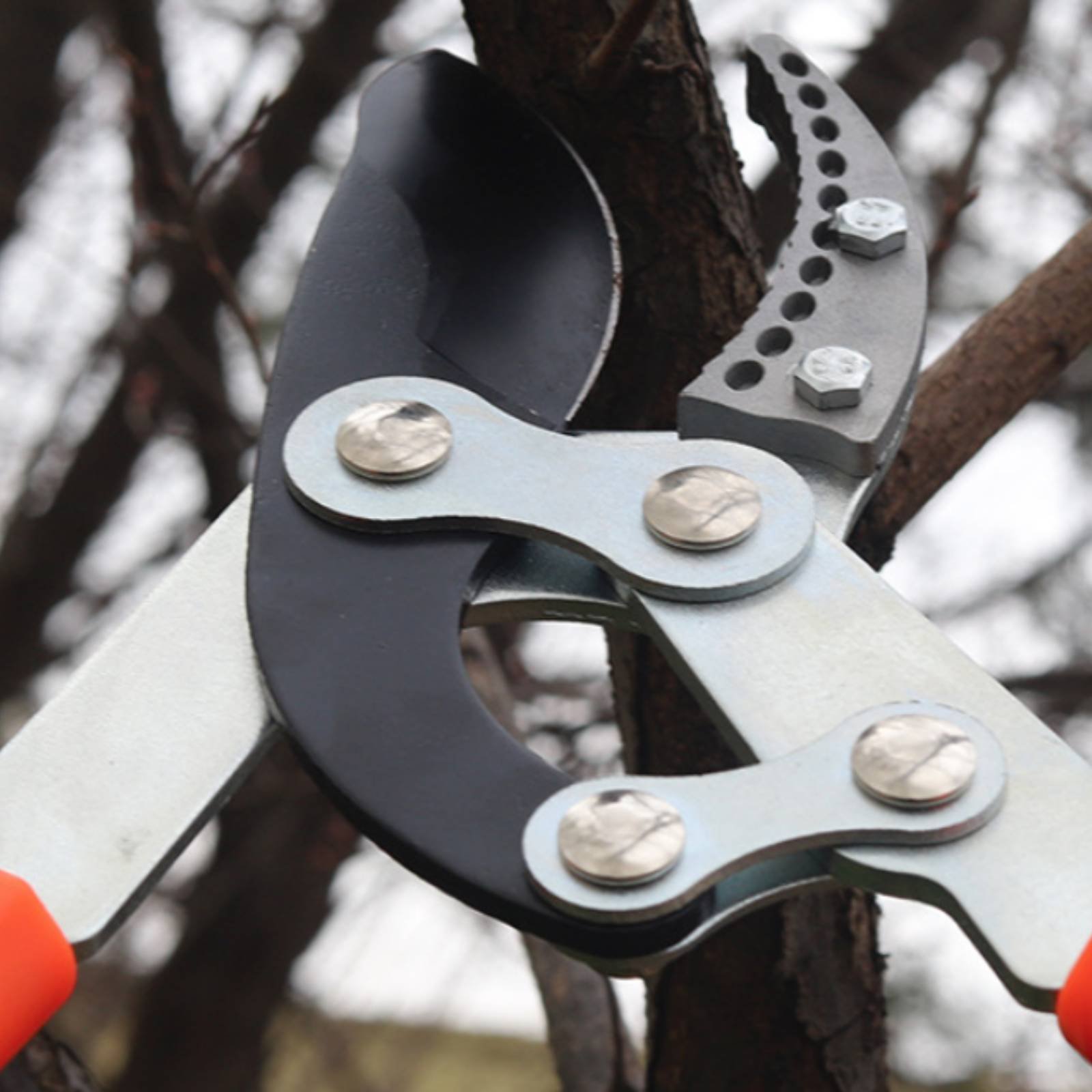 Telescopic Branch Pruners Shar - Gardening Tools In 리뷰 및 가격