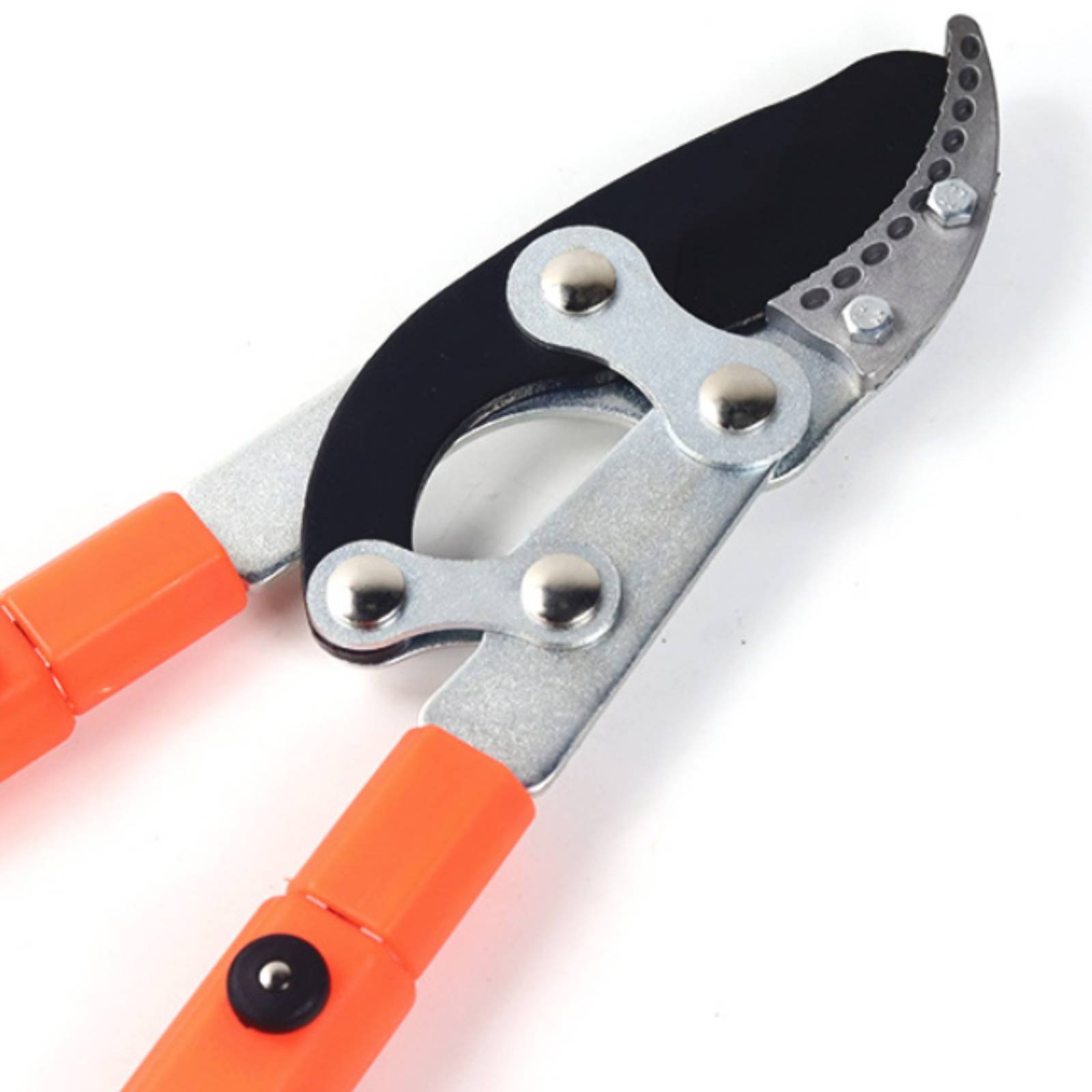 Telescopic Branch Pruners Shar - Gardening Tools In 리뷰 및 가격