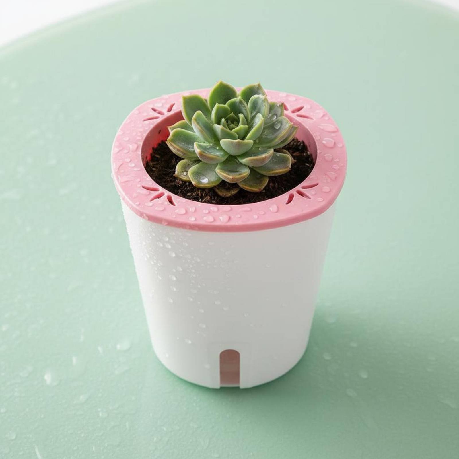 Self Watering Planter Large Si - Gardening Tools In 리뷰 및 가격