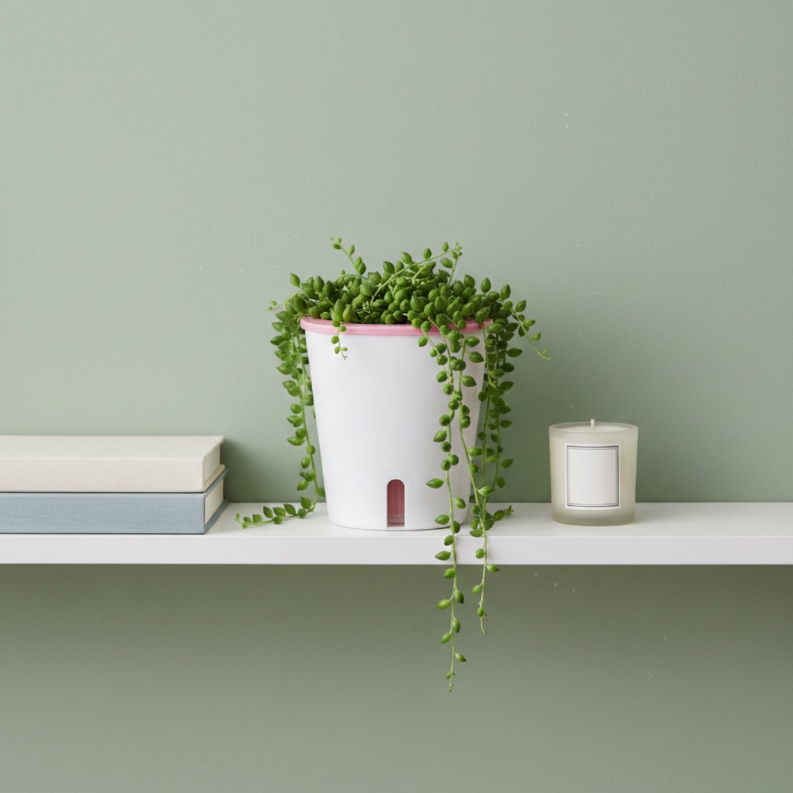 Self Watering Planter Large Si - Gardening Tools In 리뷰 및 가격