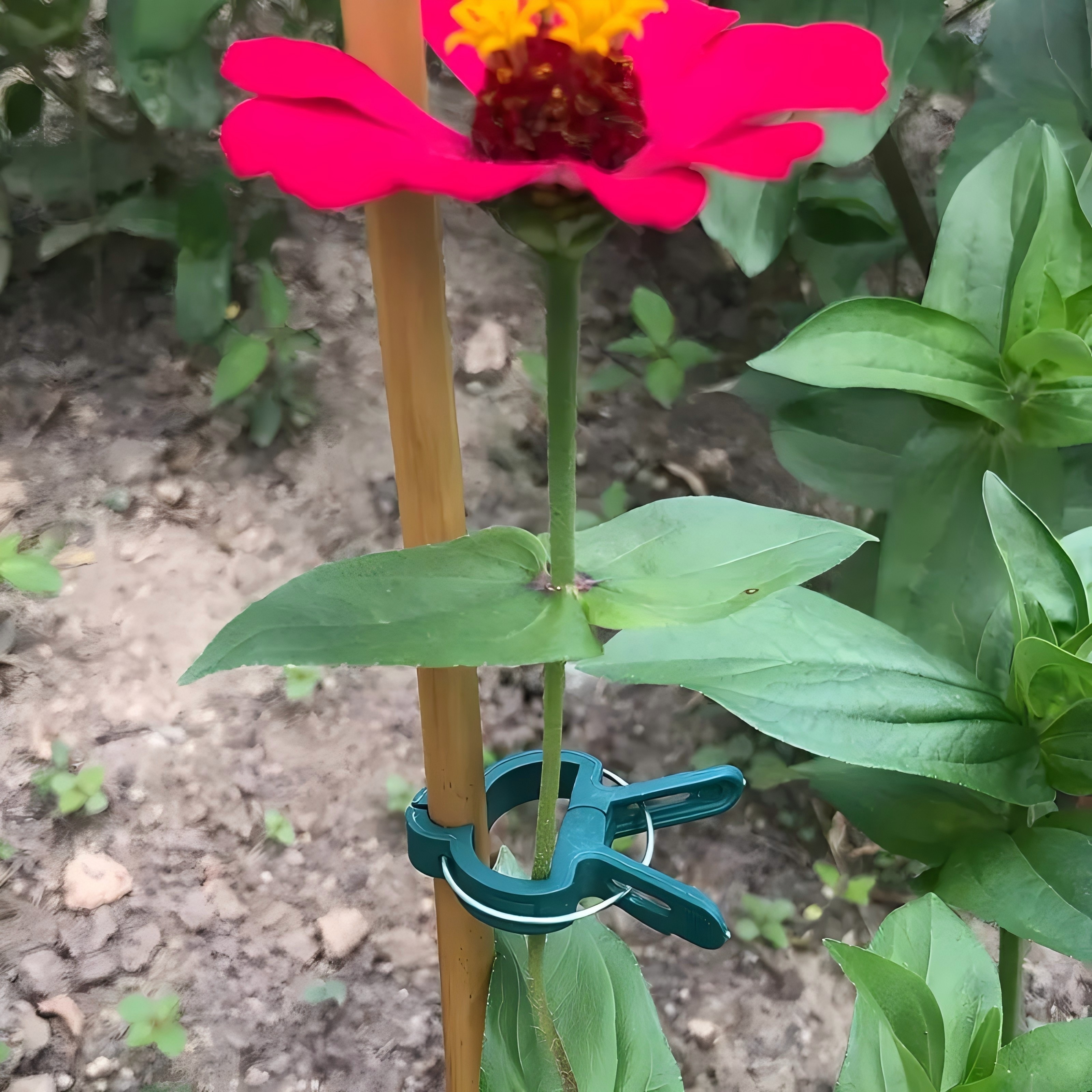 20 Adjustable Plant Support Cl - Essential Gardening Tools 리뷰 및 가격