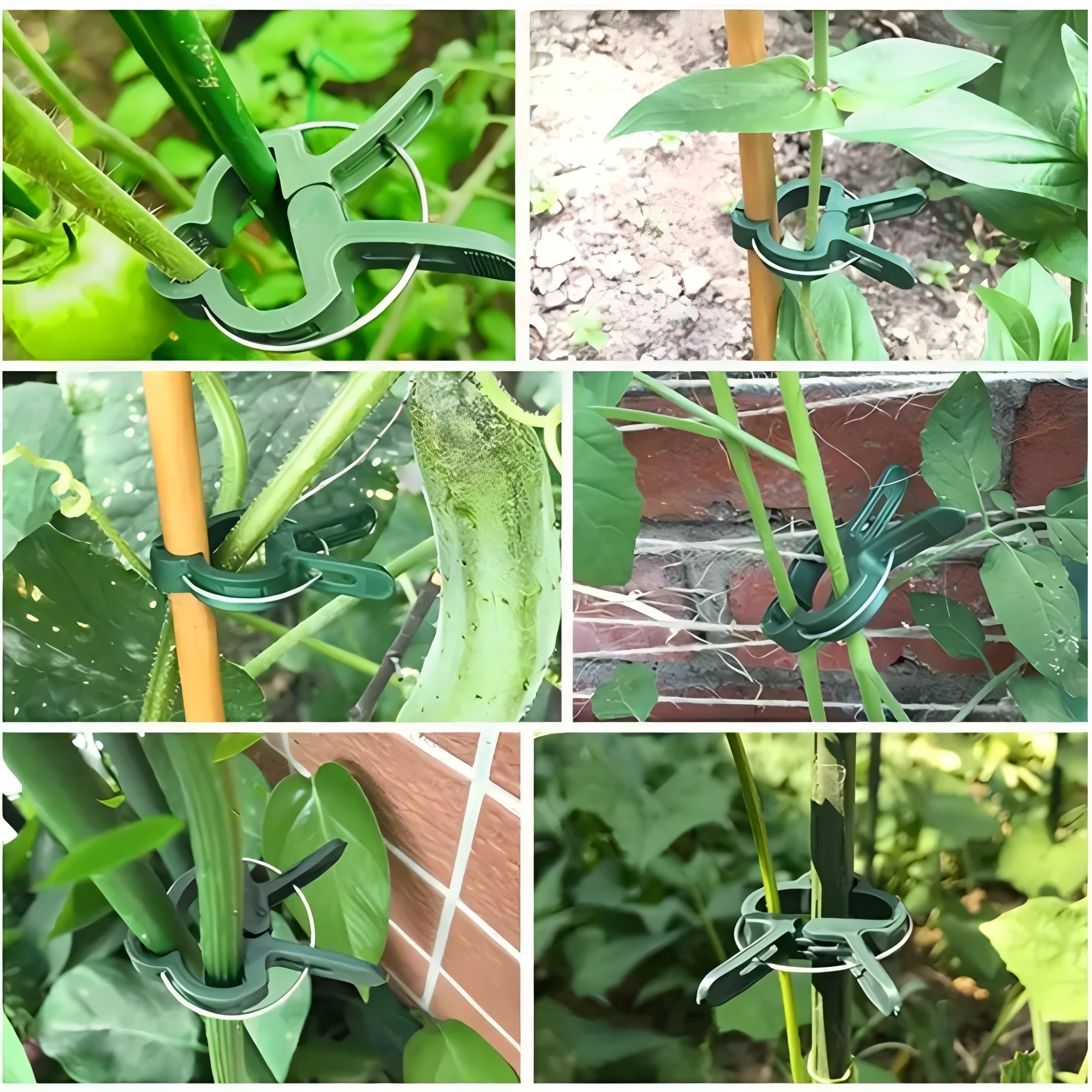 20 Adjustable Plant Support Cl - Essential Gardening Tools 리뷰 및 가격