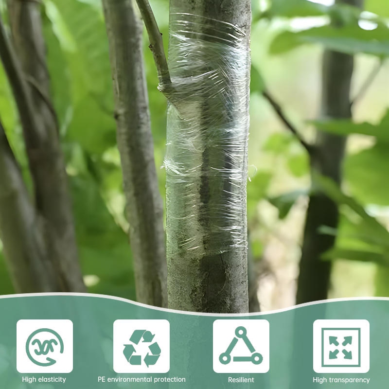 2/3/4cm Width PE Grafting Tape - Grafting Tape 리뷰 및 가격