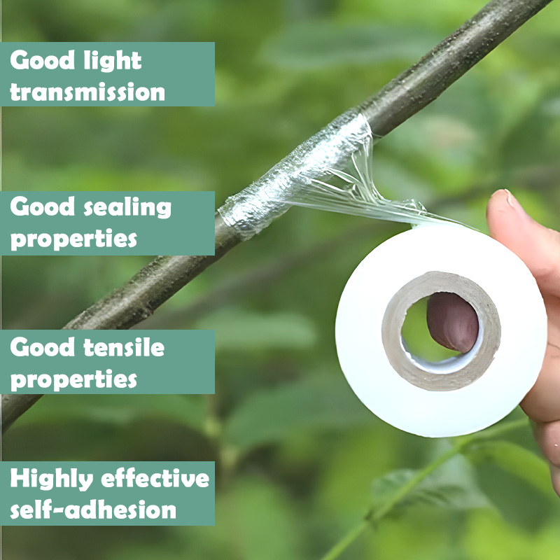 2/3/4cm Width PE Grafting Tape - Grafting Tape 리뷰 및 가격