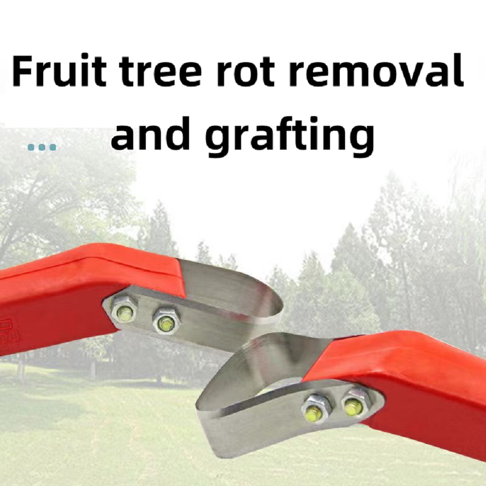 Fruit Tree Rot Scraping Bark K - Essential Gardening Tools 리뷰 및 가격