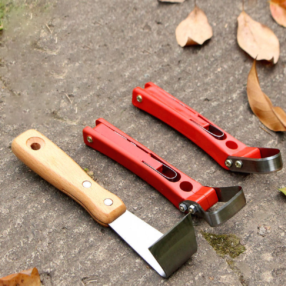 Fruit Tree Rot Scraping Bark K - Essential Gardening Tools 리뷰 및 가격