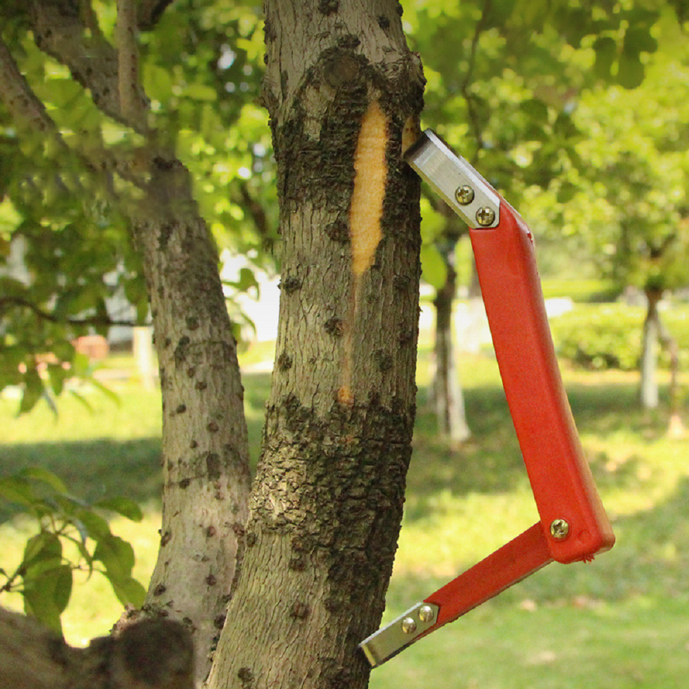 Fruit Tree Rot Scraping Bark K - Essential Gardening Tools 리뷰 및 가격