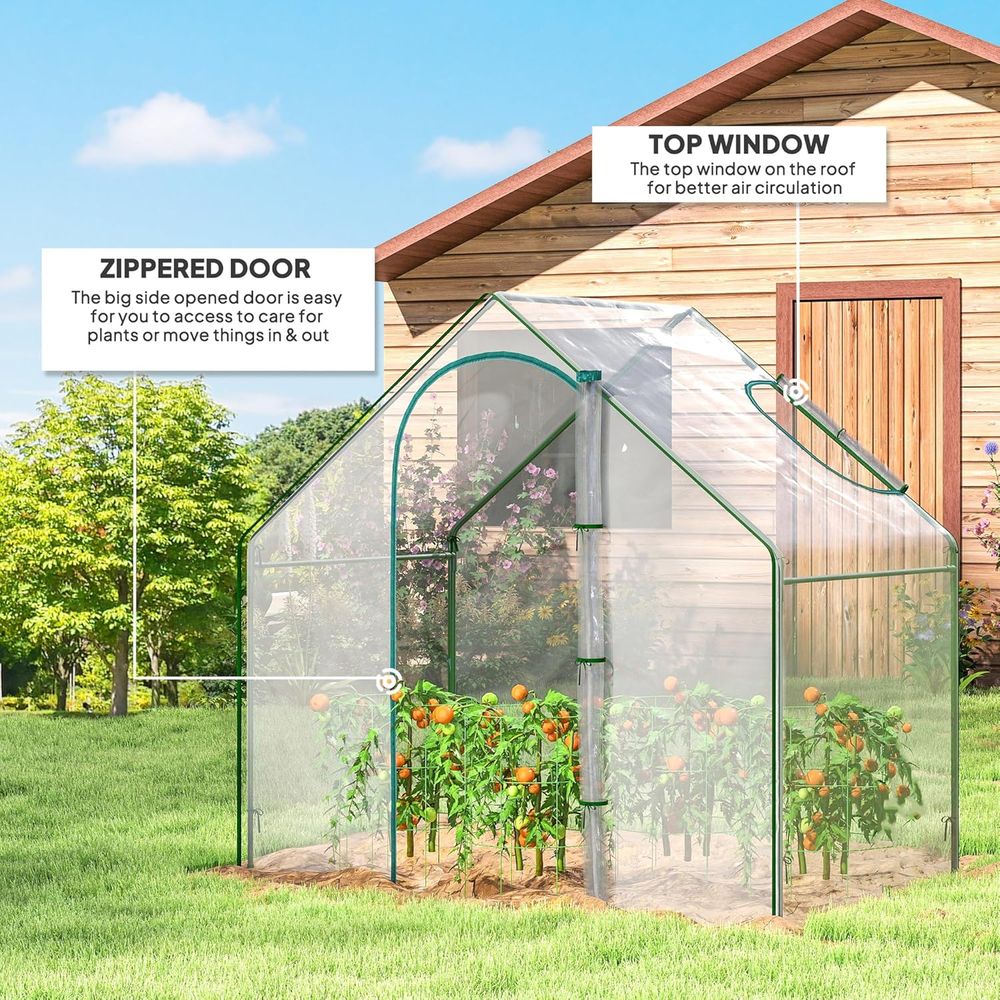 Portable 6x3x5.5ft Mini Walk-i - Greenhouse Mini Indoor 리뷰 및 가격