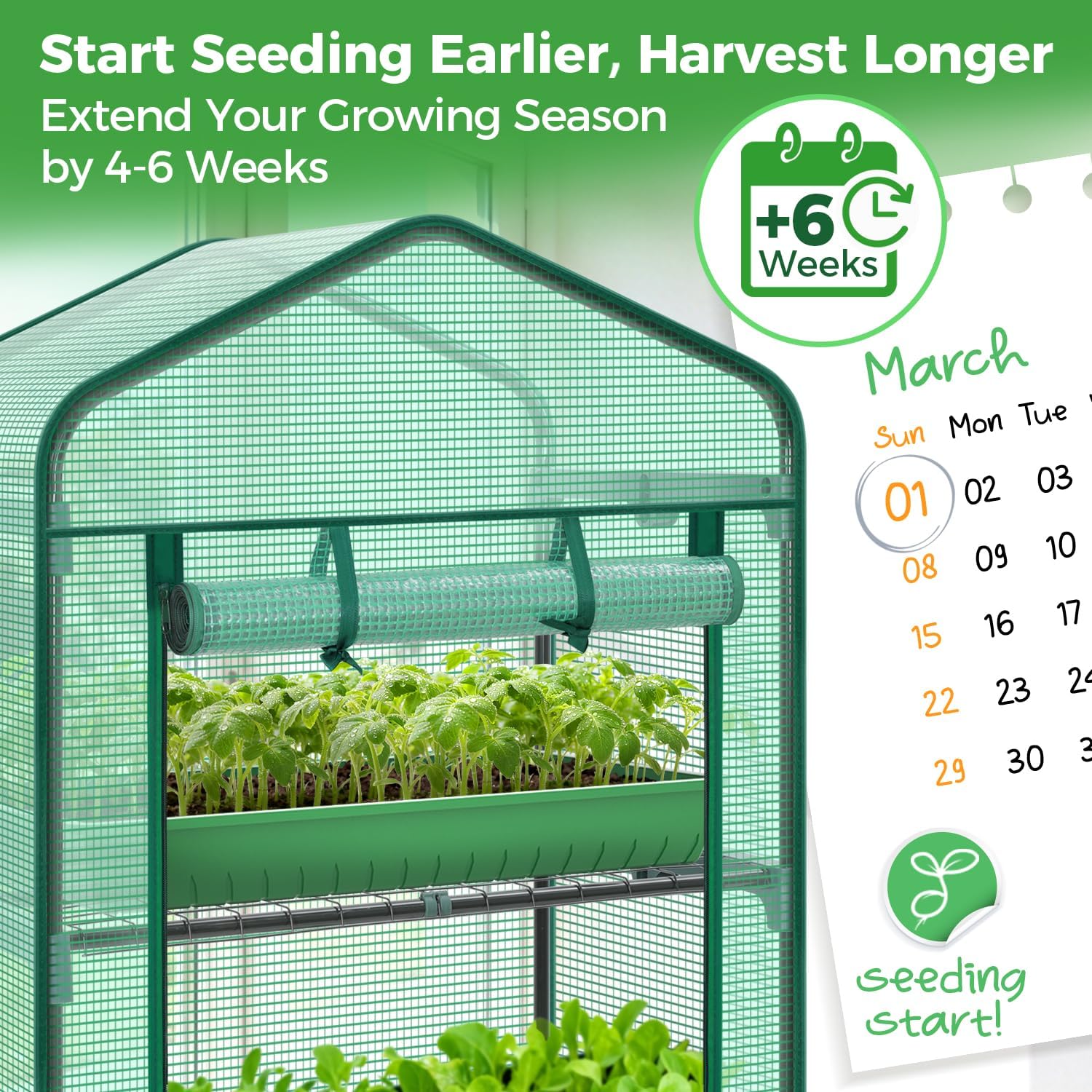 Mini Greenhouse for Indoor Out - Greenhouse Mini Indoor 리뷰 및 가격